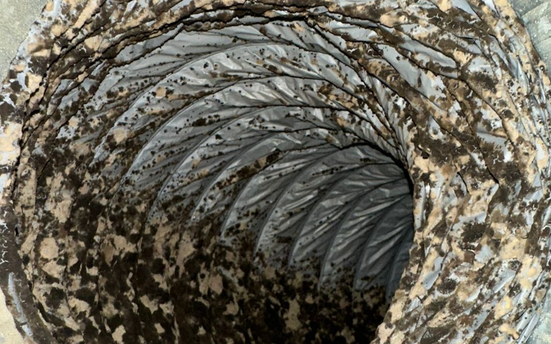 Why is Air Duct Cleaning important?