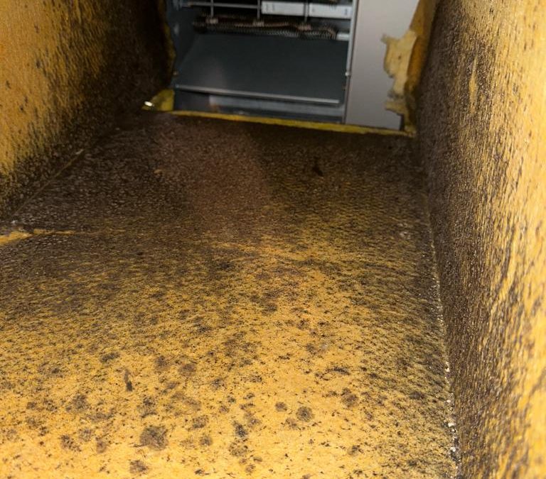 5 Most Common Causes Of Dirty Air Ducts?